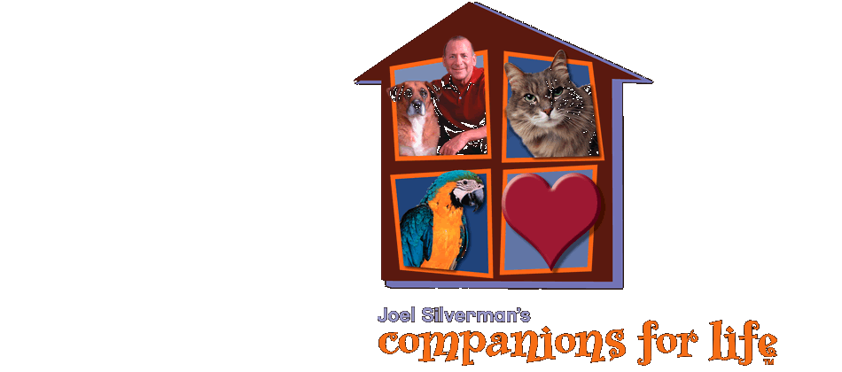 Joel Silverman's Companions for Life